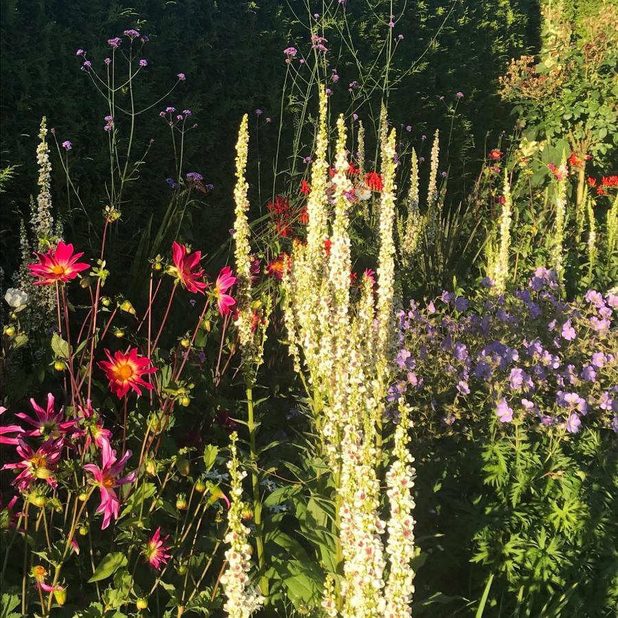 Blaisdon House B&B 롱호프 외부 사진