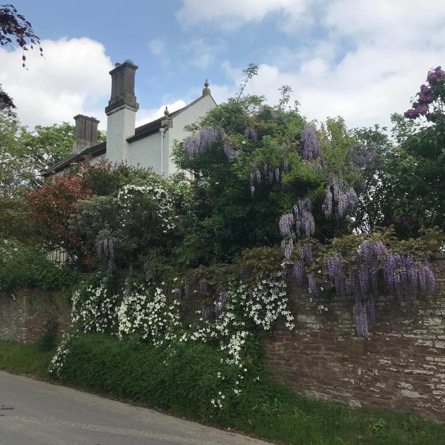 Blaisdon House B&B 롱호프 외부 사진